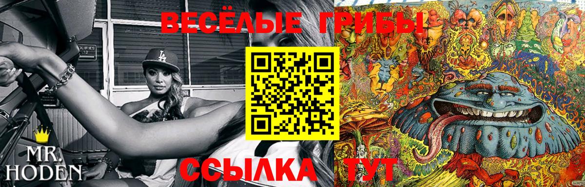 Псилоцибиновые грибы мухоморы Малоярославец
