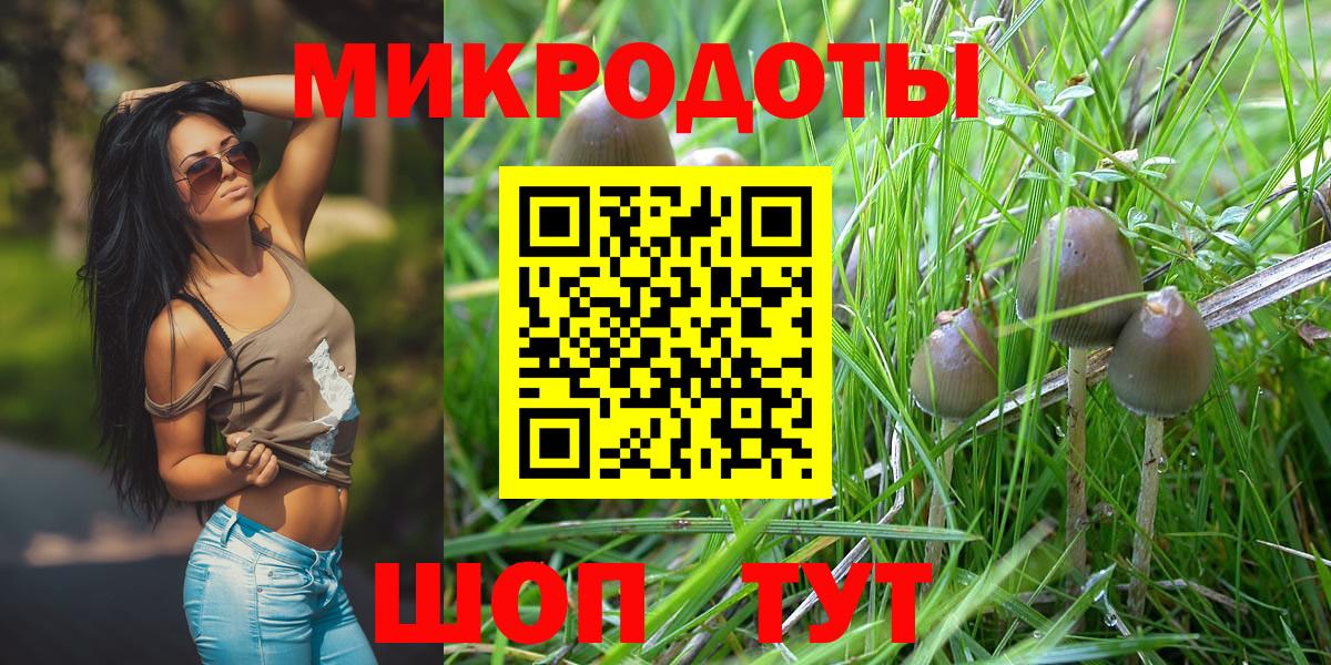 Малоярославец  Псилоцибиновые грибы Cubensis  Вход с VPN  Псилоцибиновые грибы прущие грибы 