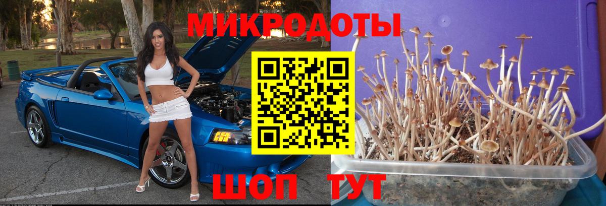 Псилоцибиновые грибы Magic Shrooms Малоярославец