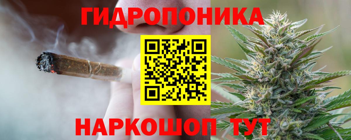 Бошки Шишки Ganja  Малоярославец  Каннабис семена  Каннабис White Widow 
